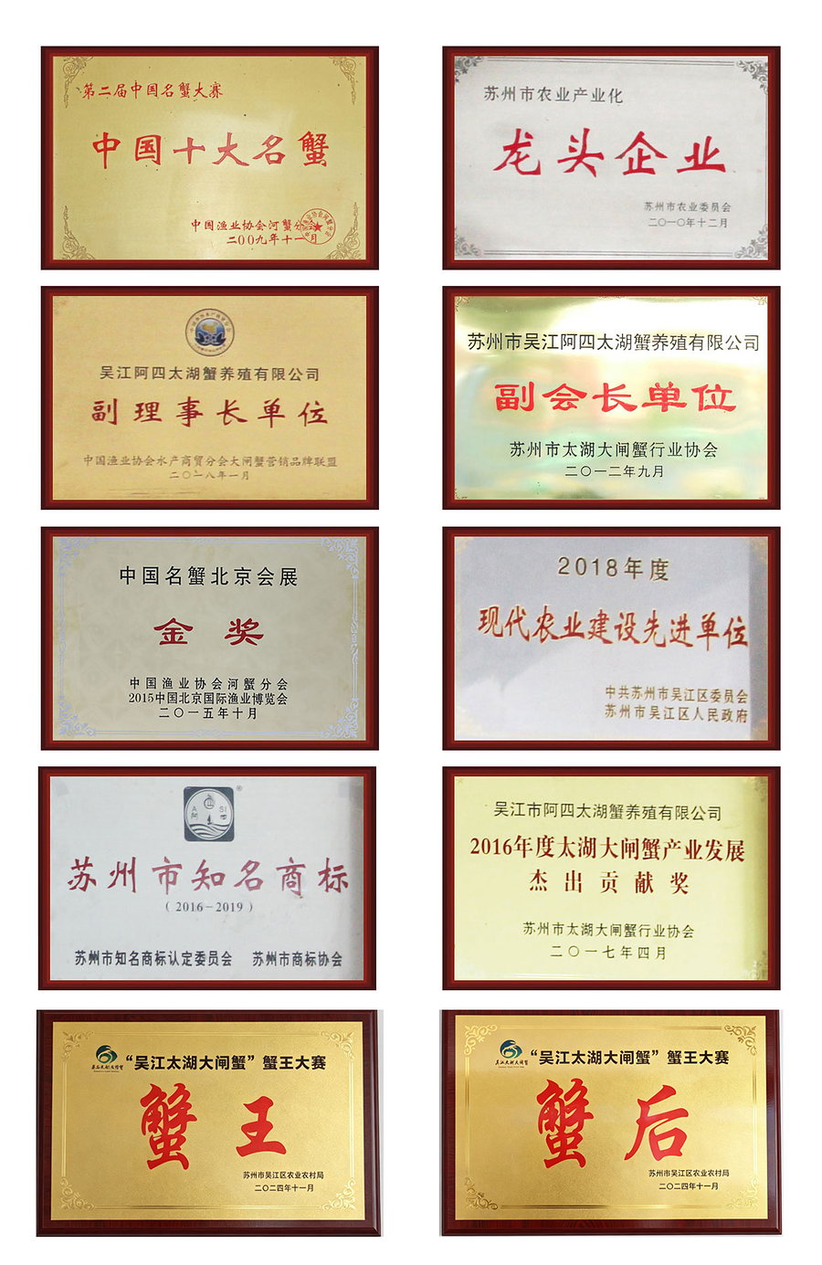阿四太湖蟹荣誉证书合集
