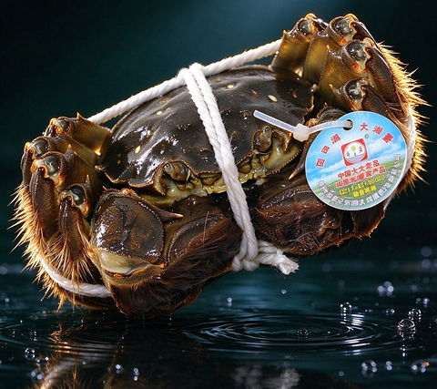 阿四太湖生态蟹
